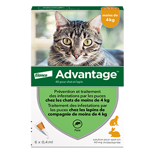 BEAPHAR COLLIER ANTIPARASITAIRE CHAT MAX 5 KG