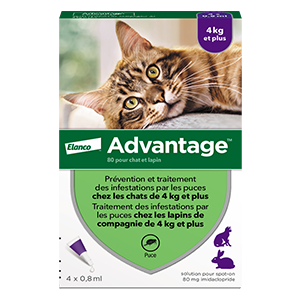 Vantaggio 80 antipulci - Gatto e coniglio > 4 kg - 4 semi. - ELANCO