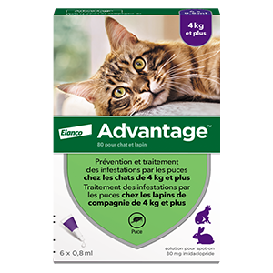 Advantage 80 - Anti-fleas - Cat and Rabbit - more than 4 Kg - 6 Pipettes - ELANCO - Produits-veto.com