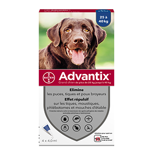 Advantix - Kirppujen esto - Iso koira - 25 kg - 40 kg - 4 pipettiä 4,0 ml - ELANCO - Products-veto.com