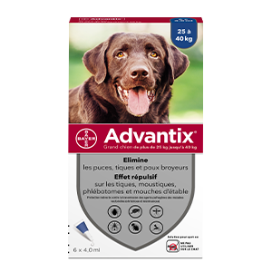 Advantix - 抗跳蚤 - 大型犬 - 从 25 公斤到 40 公斤 - 6 支 4,0 毫升的移液器 - ELANCO - Products-veto.com