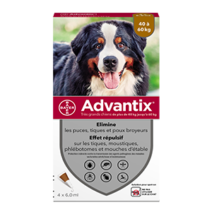 Advantix - Anti-fleas - Very Large Dog - from 40 kg to 60 kg - 4 pipettes of 6,0 mL - ELANCO - Products-veto.com