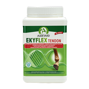 Ekyflex Tendon - Soutien Tendon et ligament - 1,2 kg - Cheval - Audevard - Produits-veto.com