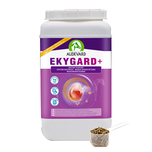Ekygard + Gastric protection - Acidity - Horse - 2,4 kg - Audevard - Products-veto.com