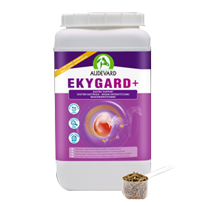 Ekygard + Magenschutz - Säure - Pferd - 2,4 kg - Audevard - Products-veto.com