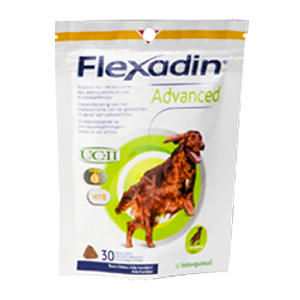 Flexadin pour chien et chat : complément nutritionnel arthrose