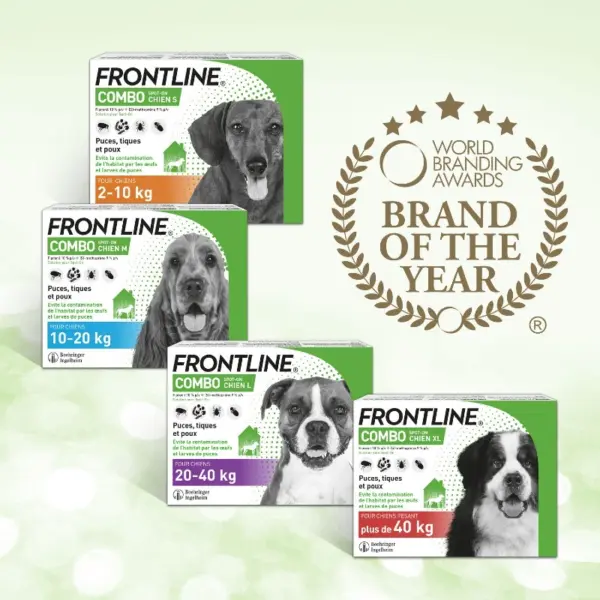 Frontline Combo L - Dog - 20 to 40 kg - Anti-Fleas, Ticks, Lice