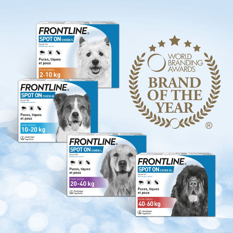 Frontline Spot-on L - from 20 to 40 kg - Anti-fleas - Dog 4 Pipettes