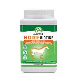 Biotina para pezuñas - Belleza de las patas, de las pezuñas y del pelo - Caballo - 1 kg - Audevard - Produits-veto.com