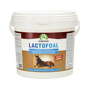 Lactofoal - Lait maternisé - Poulain - 2,2 kg - Audevard - Produits-veto.com