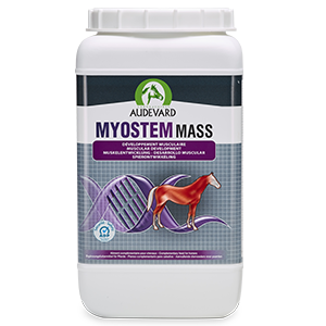 Myostem Mass - Desenvolvimento muscular - Cavalo - 2,1 kg - AUDEVARD - Produtos-veto.com