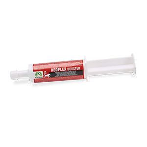 Redplex booster - Kracht & prestatie - Paard - 60 ml - AUDEVARD - Products-veto.com