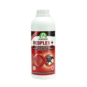 Redplex + Vigor and Performance - Vitamins - 1 L - Horse - Audevard - Products-veto.com