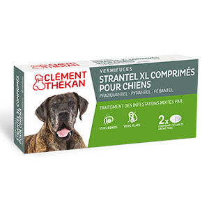 Capstar 57 mg comprimé pour chiens, boite de 6 comprimés