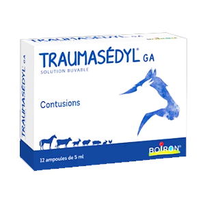 Traumasedyl - GA - 12 Ampoules - BOIRON - Produits-veto.com