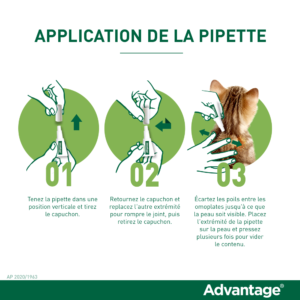 Advantage 40 – 4×0,4 ml – Puces et tiques – Chat et lapin – 4 Pipettes – ELANCO