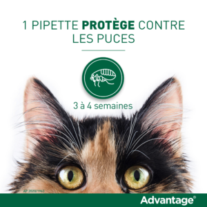 Advantage 80 – 4×0,8 ml – Puces et tiques – Chat et lapin – 4 pipettes – ELANCO