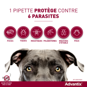 ADVANTIX – Très petit chien – 1,5 kg à 4 kg – 0,4 mL – 6 Pipettes – ELANCO