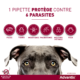 ADVANTIX – Très petit chien – 1,5 kg à 4 kg – 0,4 mL – 4 Pipettes – ELANCO