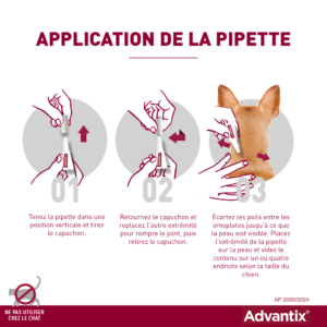 ADVANTIX – Très petit chien – 1,5 kg à 4 kg – 0,4 mL – 6 Pipettes – ELANCO