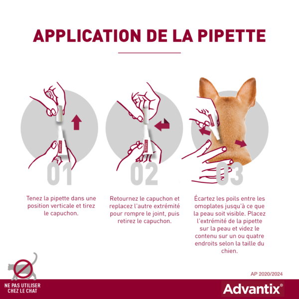 ADVANTIX - Anti-puces