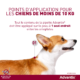 ADVANTIX – Très petit chien – 1,5 kg à 4 kg – 0,4 mL – 6 Pipettes – ELANCO