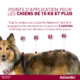 ADVANTIX – Grand chien – 25 à 40 kg – 4,0 mL – 4 pipettes – ELANCO