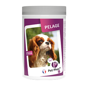 Pet phos coat - Hund - 450 tabletter - Ceva - Produits-veto.com