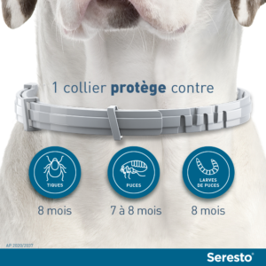 Seresto – Collier anti-puces – Grand Chien – 70 cm – Lot de 2 – ELANCO