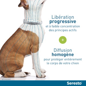 Seresto – Collier anti-puces – Grand Chien – 70 cm – Lot de 2 – ELANCO