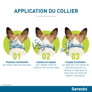 Seresto – Collier anti-puces – Grand Chien – 70 cm – Lot de 2 – ELANCO