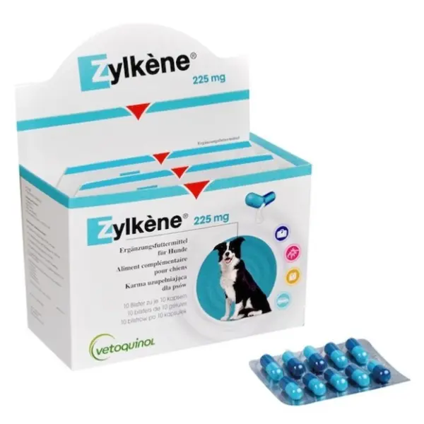 Zylkene Chat  Complément alimentaire pour le chat