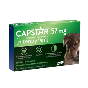 Capstar - Antipulgas - Cão - 57 mg - Elanco - Produtos-veto.com