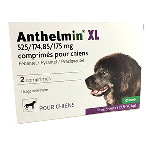 Anthelmin XL - Vermifuge Dogs - från 17,5 till 70 kg - KRKA - Products-veto.com