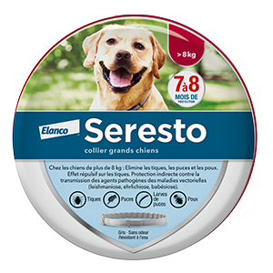 Seresto - Grand chien - Supérieur à 8 kg - Collier - ELANCO - Produits-veto.com