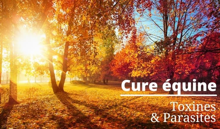 202110 - Fall equine cure - Toxins and Parasites