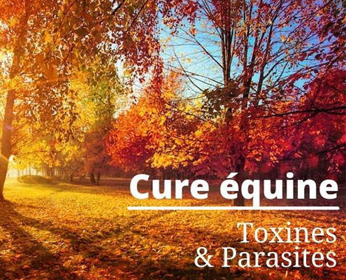 202110 - Cura autunnale per equini - Tossine e parassiti - Miniatura