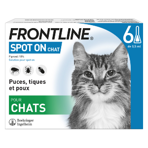 Frontline - Przeciw pchłom - Spot On - Cat - 6 pipety - Produkty-veto.com