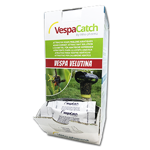 VespaCatch - Trappola per calabroni asiatici - Scatola attraente - Produits-veto.com