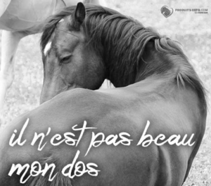 202112 - Gale de boue ou dermatophilose - J'ai bon dos - Cheval - Produits-veto.com