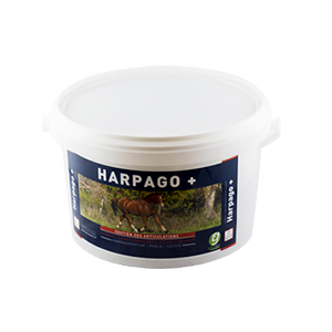Harpago + - 1,5 kg - Articulations et muscles - GreenPex - Produits-veto.com