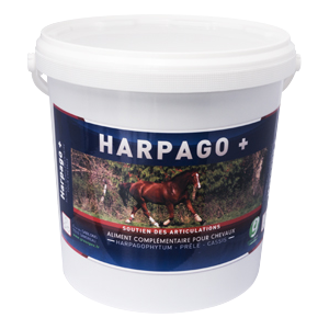 Harpago + - 4,5 kg - Articulaciones y músculos - GreenPex - Products-veto.com