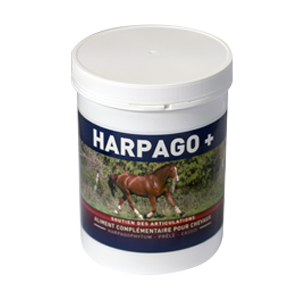 Harpago + - 500 g - Articulations et muscles - GreenPex - Produits-veto.com