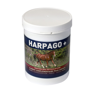 Harpago + - Arthrose cheval / Harpagophytum cheval - 500 g