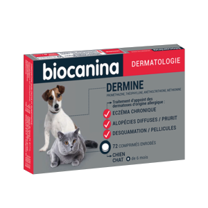 Dermine - Ekcéma és alopecia - Kutya és macska - 72 tabletta - Biocanina - Products-veto.com