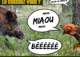 202210 - Miniature Article La Chasse - Produits-veto.com