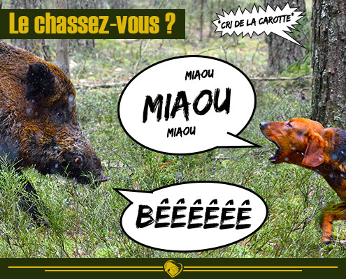 202210 - Miniature Article La Chasse - Produits-veto.com