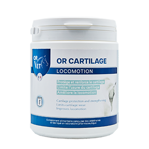 Gold Cartilage - Locomotion - Versterking van kraakbeen - Paard - 750 g - OR VET - Products-veto.com