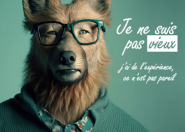 Article : La vieillesse du chat et du chien - Miniature - Produits-veto.com