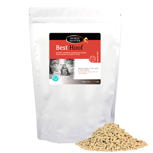 Bedste hov - D-biotin - hov - 1 kg - Horse Master - Products-veto.com